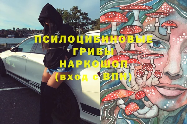 дмт Магас