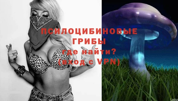 дмт Магас
